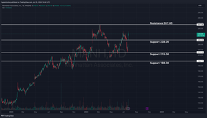 Manhattan Associates (MANH) Analysis