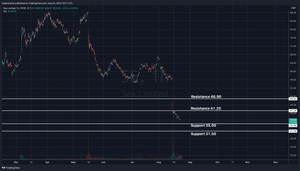 Sea Limited (SE) Fundamental & Technical Analysis