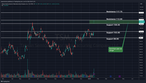 Taiwan Semiconductor Earnings Analysis and Technicals